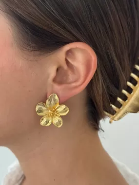 BLOOM STUDS