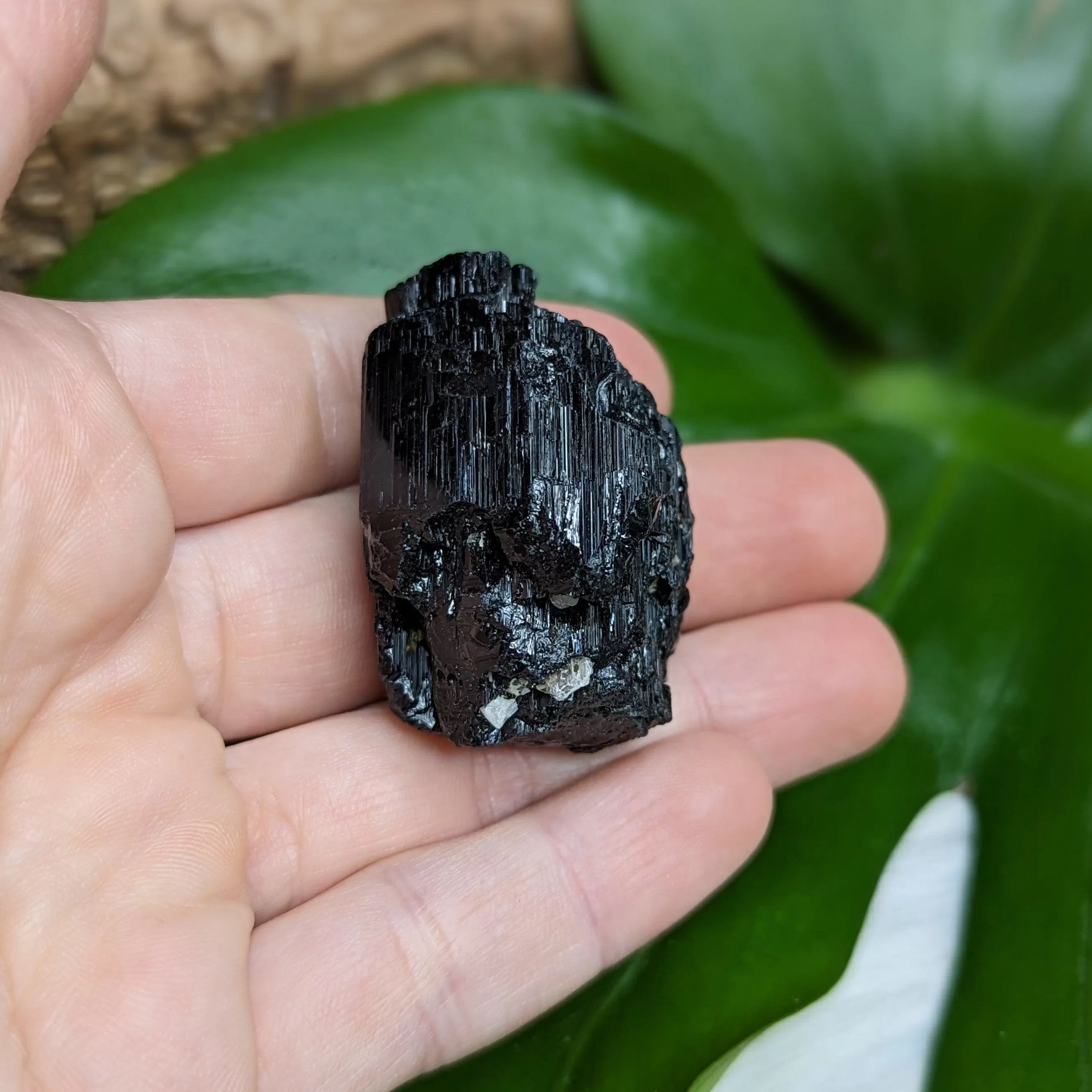 Dazzling AA Black Tourmaline Natural Specimen~ Gemmy Protective Pocket Stone