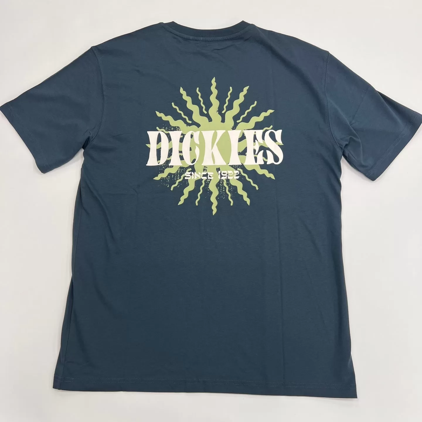 Dickies Kelso Graphic T-Shirt