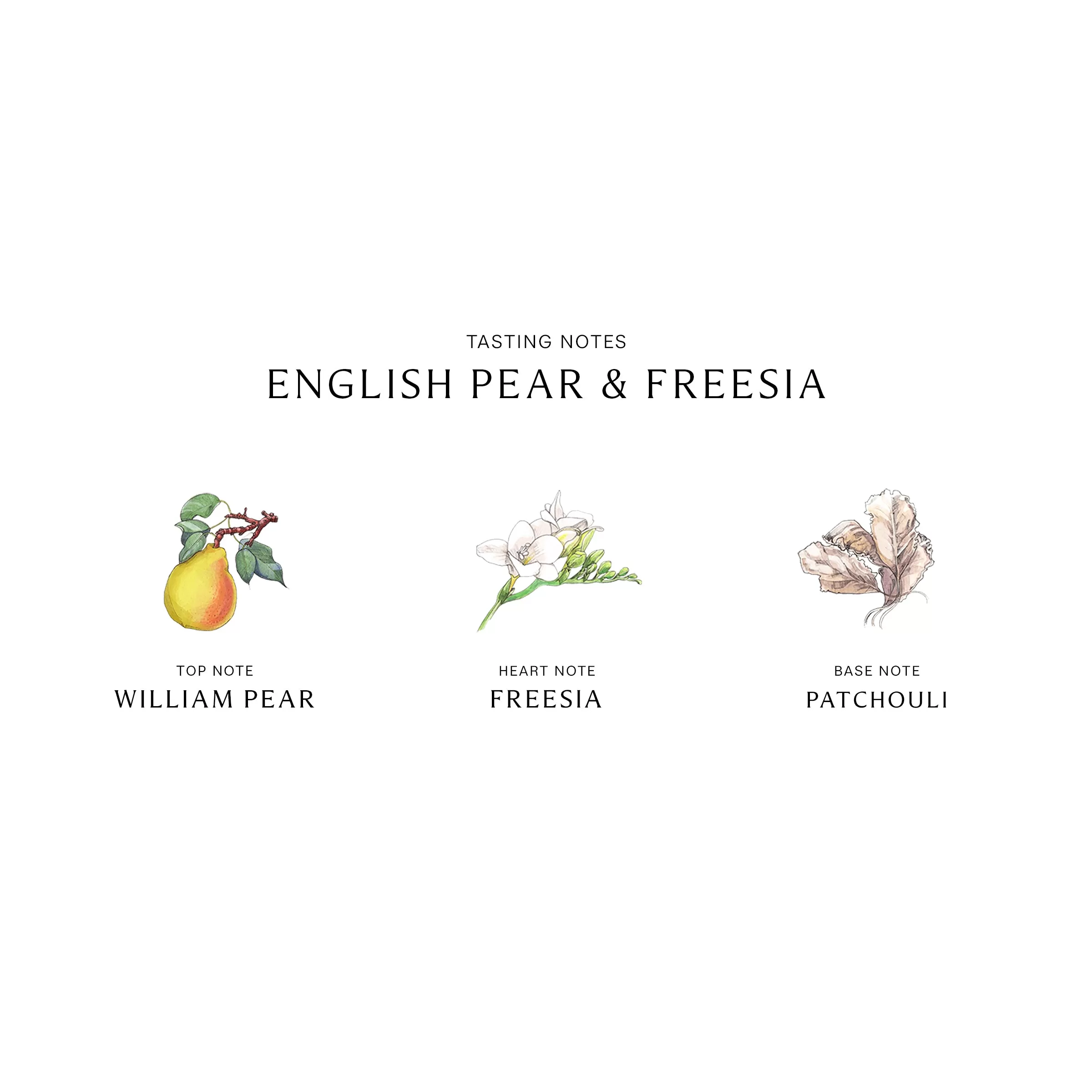 English Pear & Freesia