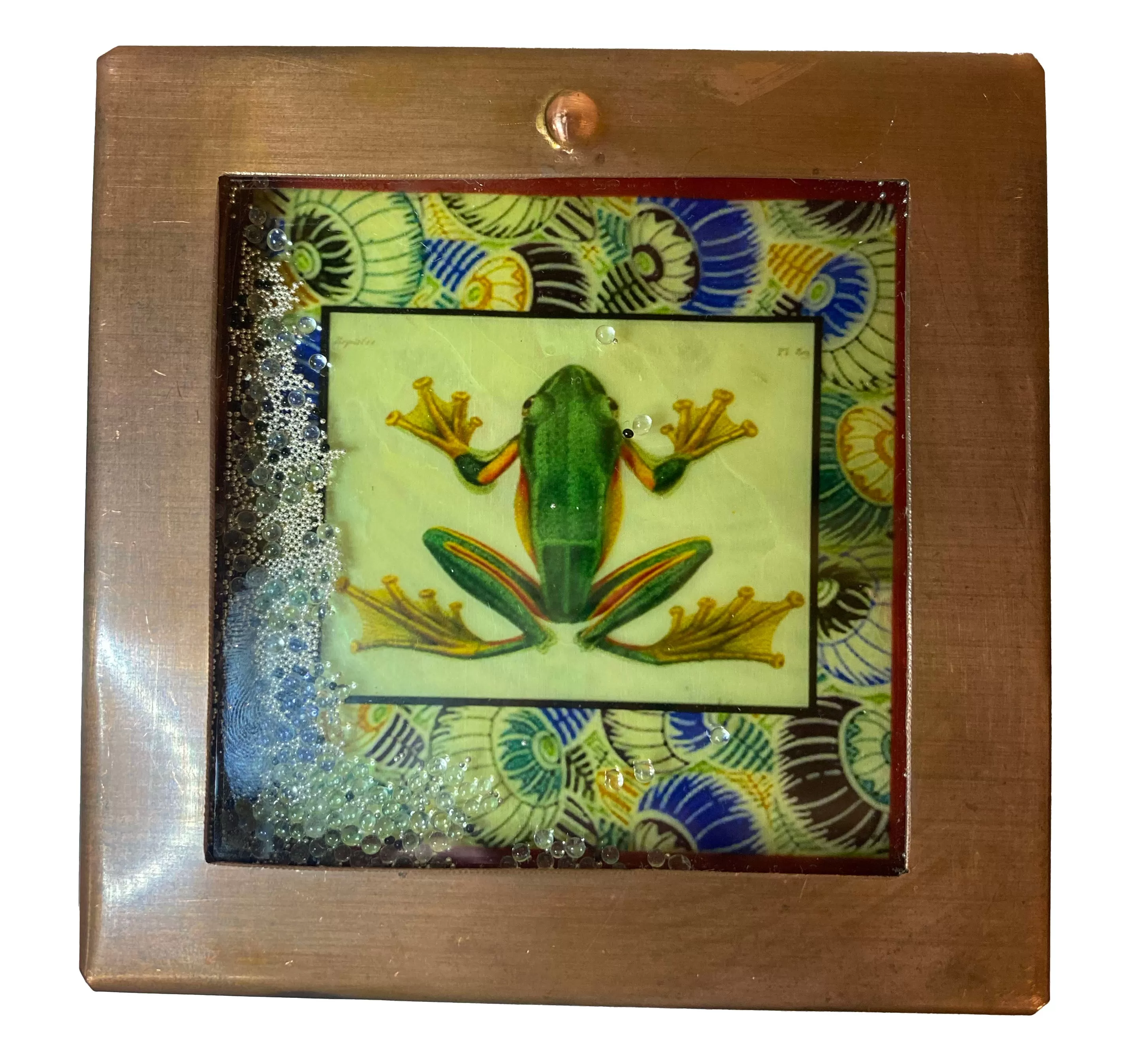 NEW! Frog Pearlie Reliquary Box by Grace Gunning