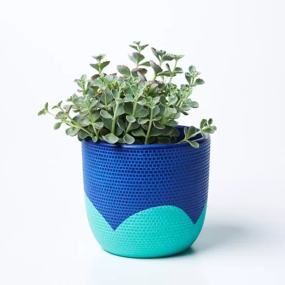 Petal Pot (Multiple Colors)