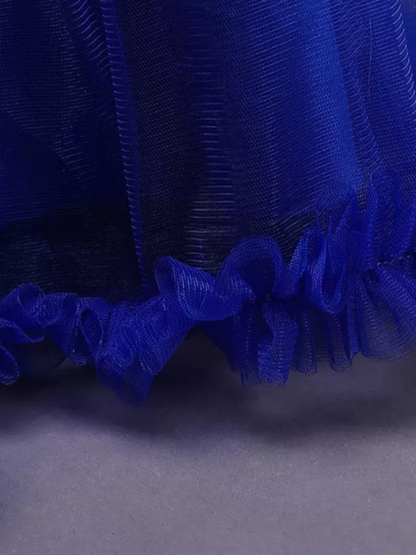 Royal Blue Flower Girl Dresses Jewel Neck Sleeveless Lace Tulle Embroidered Kids Party Dresses