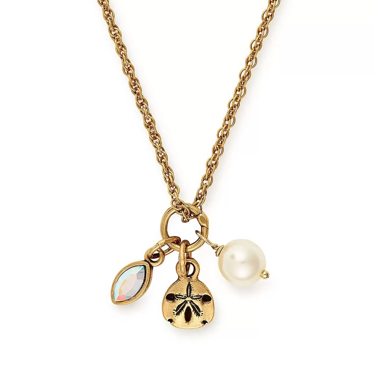 Sand Dollar Trio Charm Necklace