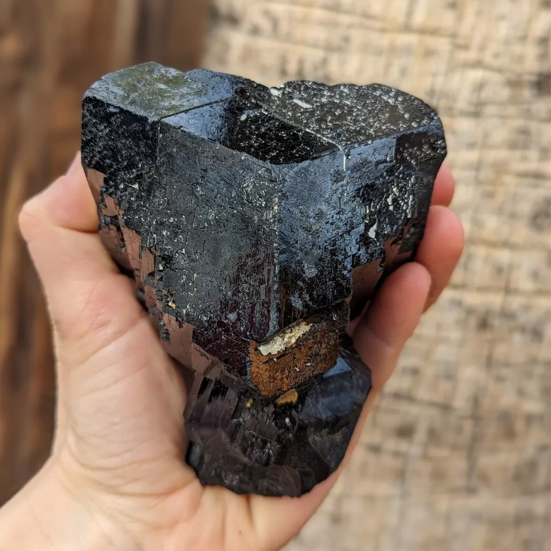 ~TUCSON EXCLUSIVE! ~ TERMINATED AA GRADE BLACK TOURMALINE CRYSTAL FROM ERONGO MOUNTAIN, ERONGO REGION, NAMIBIA