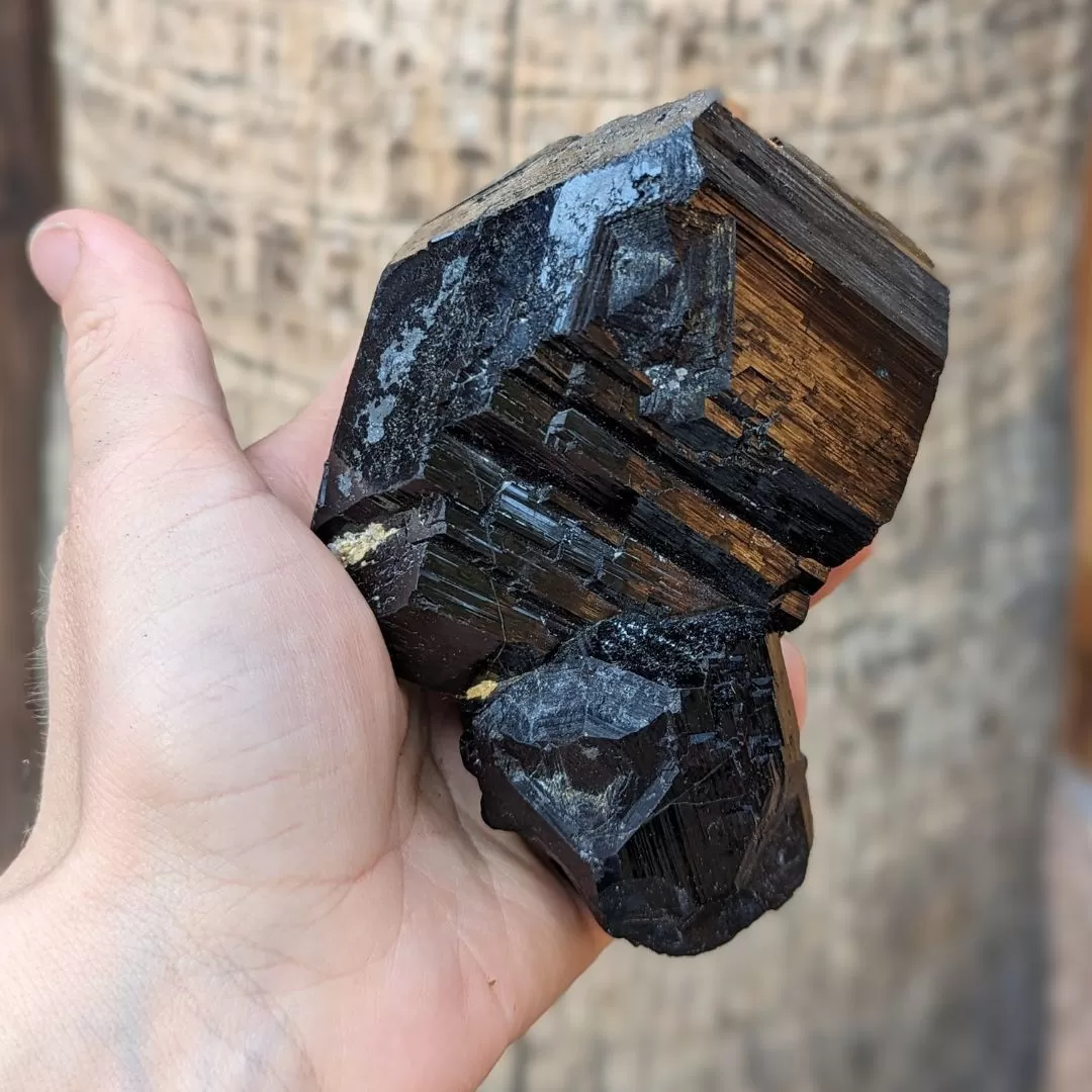 ~TUCSON EXCLUSIVE! ~ TERMINATED AA GRADE BLACK TOURMALINE CRYSTAL FROM ERONGO MOUNTAIN, ERONGO REGION, NAMIBIA