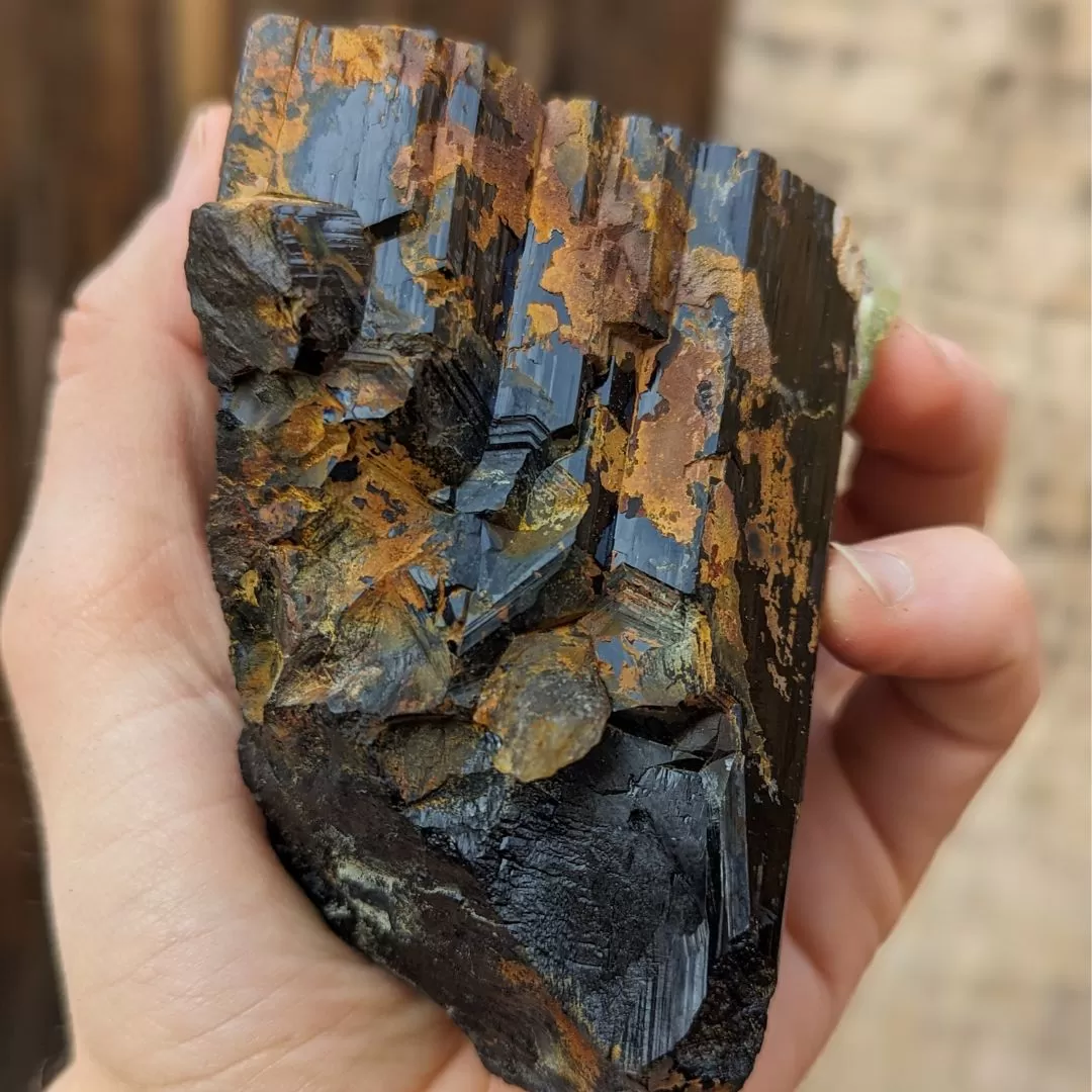 ~TUCSON EXCLUSIVE! ~ TERMINATED AA GRADE BLACK TOURMALINE CRYSTAL FROM ERONGO MOUNTAIN, ERONGO REGION, NAMIBIA