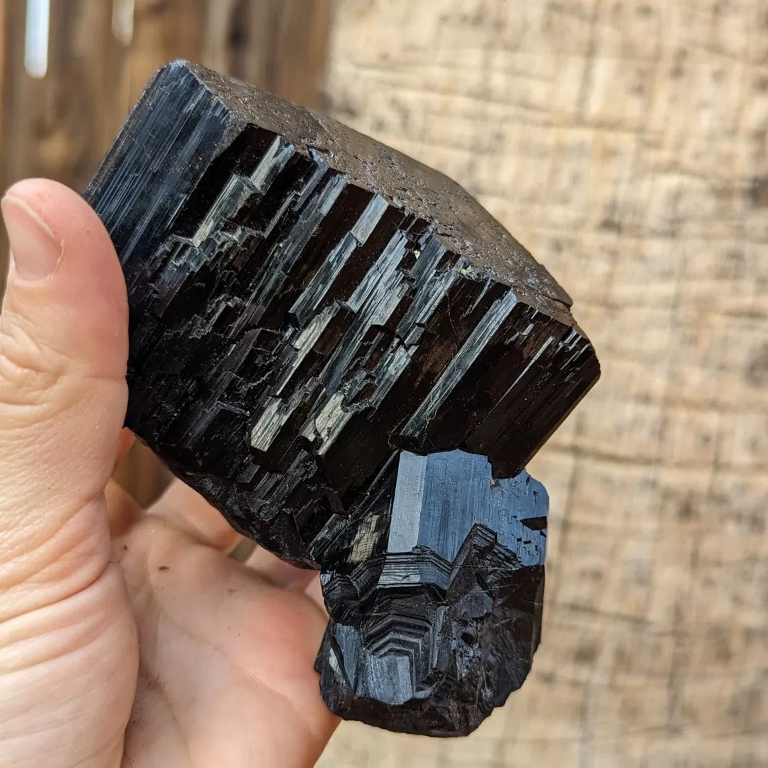 ~TUCSON EXCLUSIVE! ~ TERMINATED AA GRADE BLACK TOURMALINE CRYSTAL FROM ERONGO MOUNTAIN, ERONGO REGION, NAMIBIA