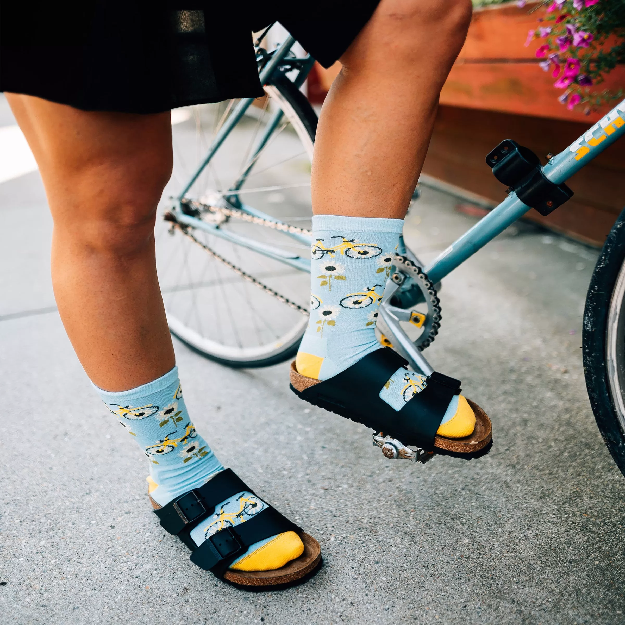 Women's Sun Pedal Crew  Lightweight Lifestyle Sock